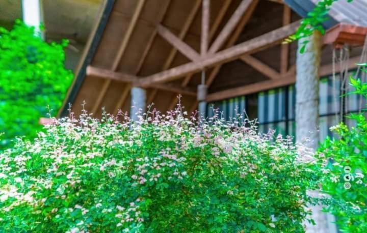 Passi Nature Villas Passikudah 칼쿠다 외부 사진